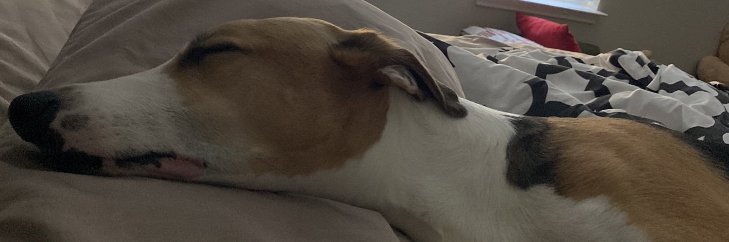 Joe🏳️‍🌈🏳️‍⚧️ banner