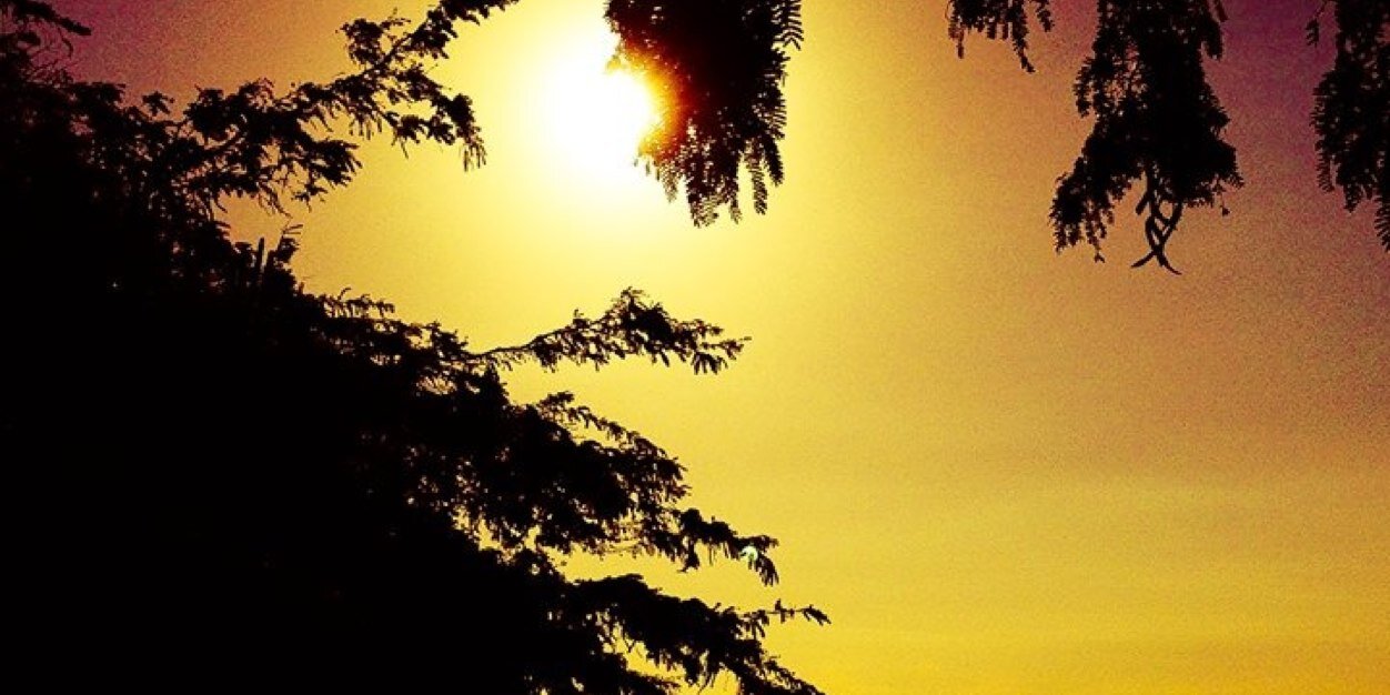 ricarditosalced's profile banner image