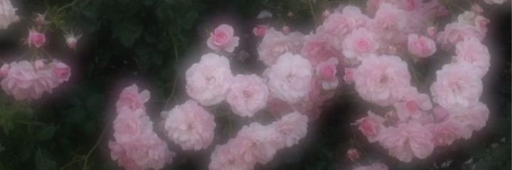 itu___r83's profile banner image