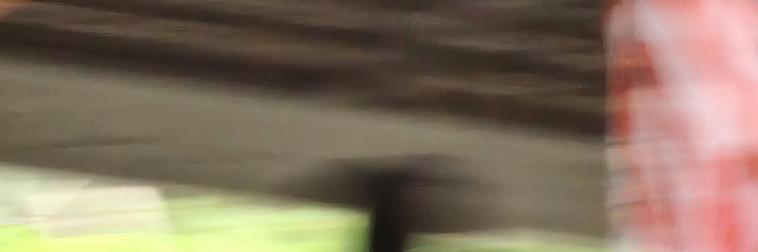 SilaTorika's profile banner image