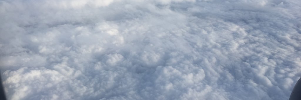 warringalike's profile banner image