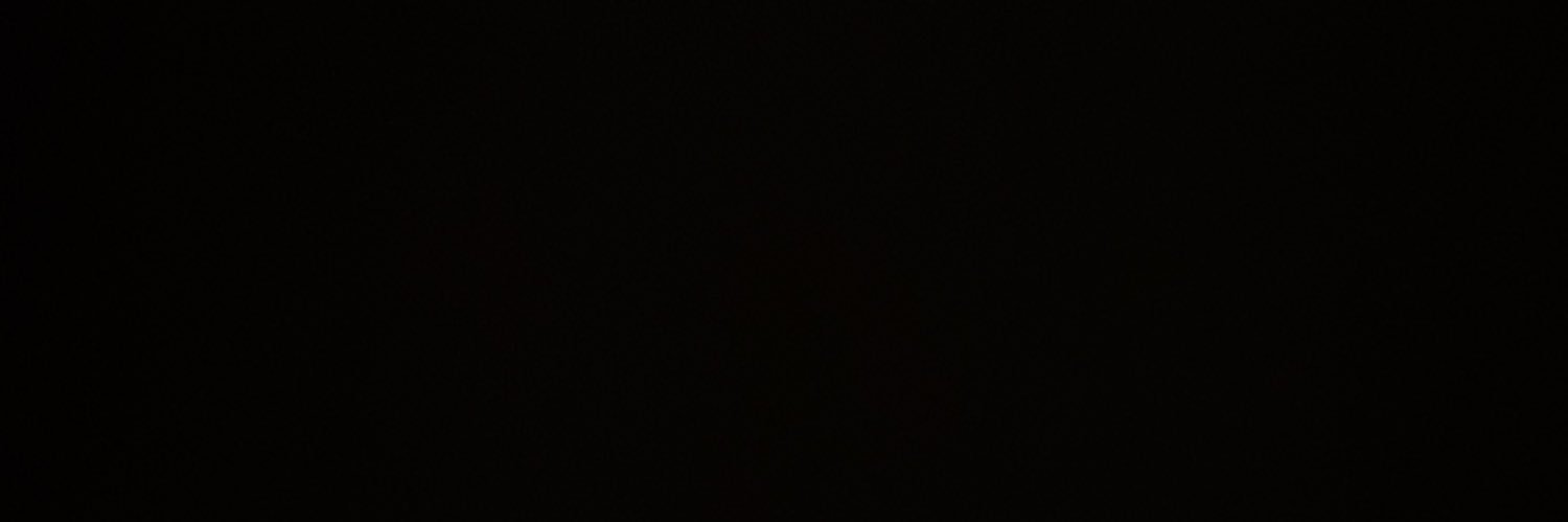 Reggie Redbird banner