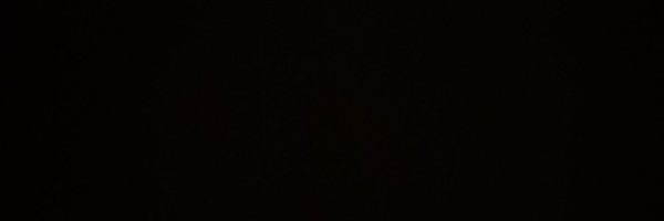 ReggieRedbird Profile Banner