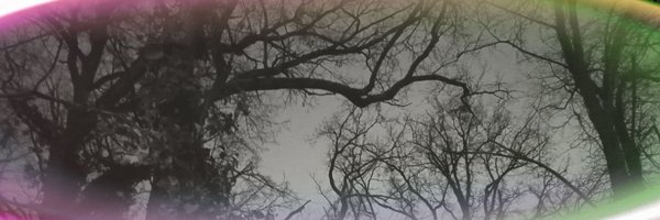 treech07 Profile Banner