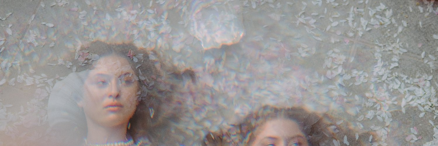 Ariana Abecasis banner