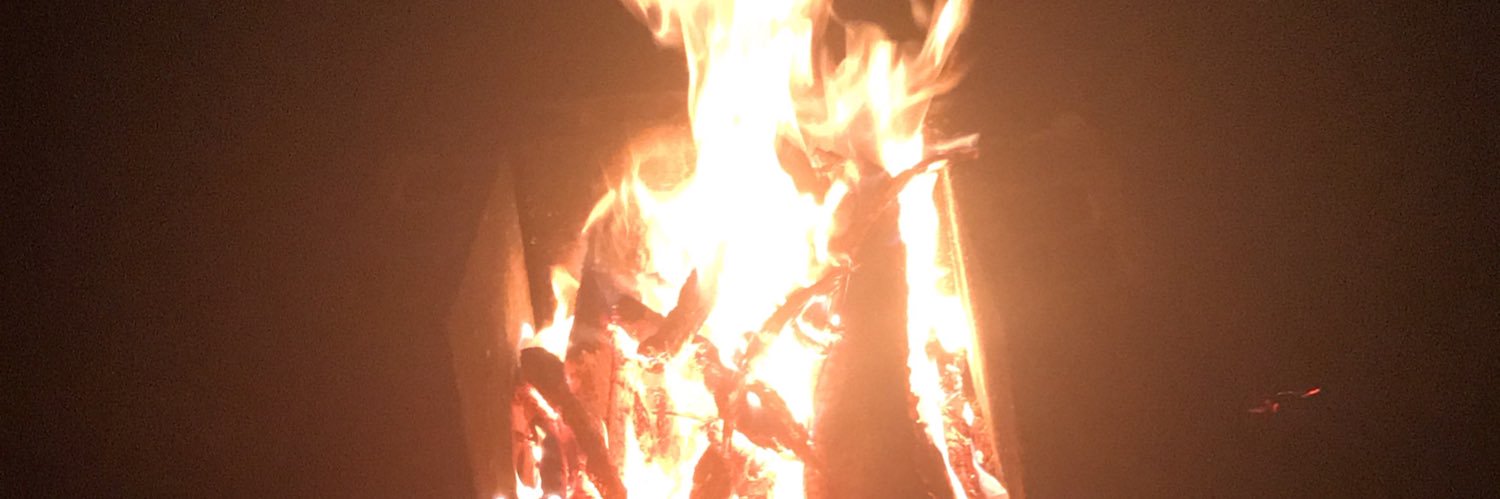 金魚（浄化済） banner