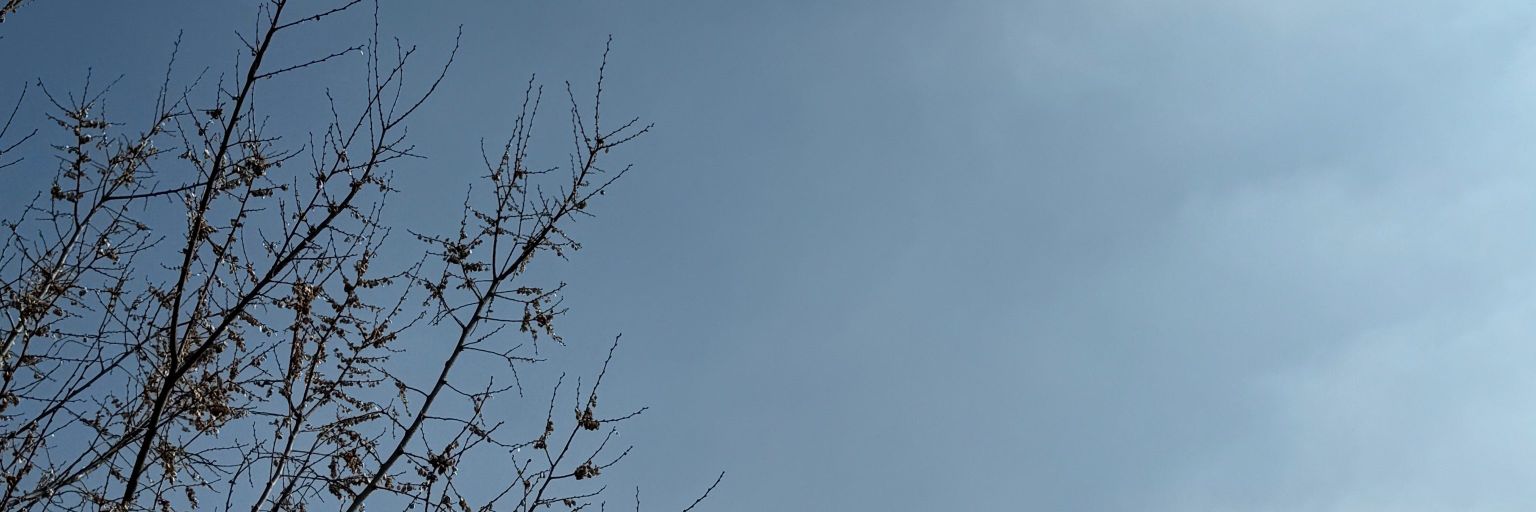 Ri banner