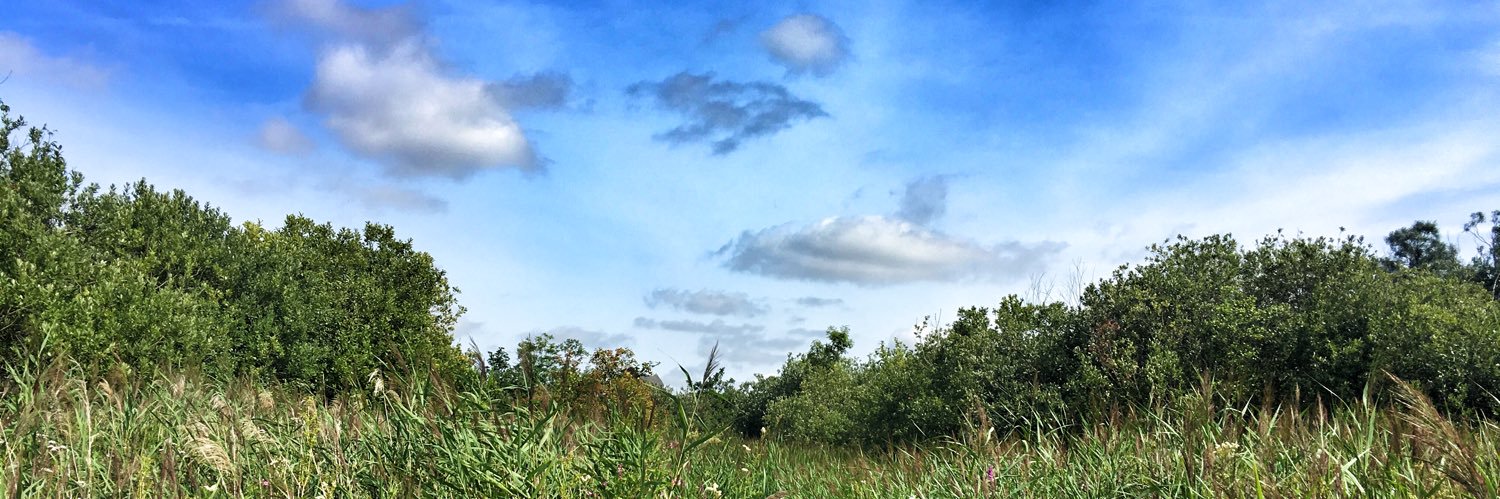 lovenorfolk's profile banner image