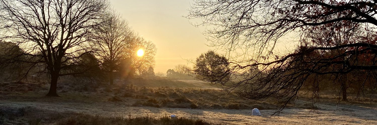 KatiWegmann's profile banner image