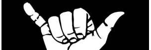 VishVibz banner