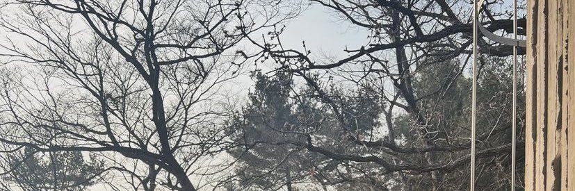 Lami banner