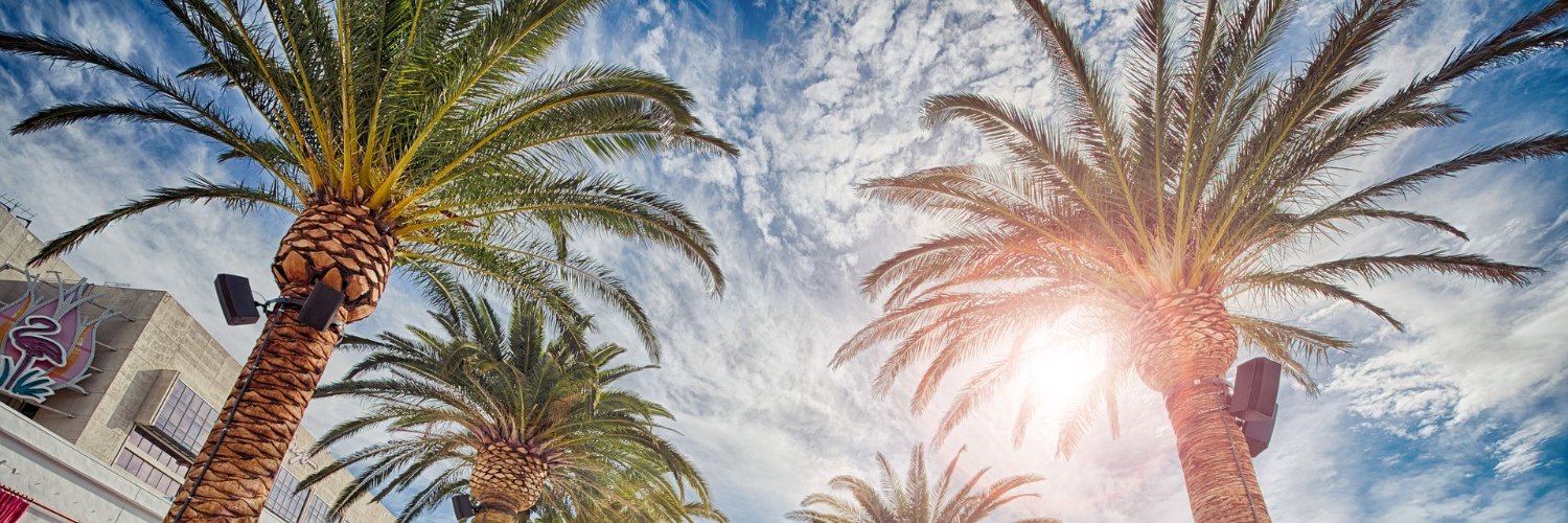 Zoottle's profile banner image