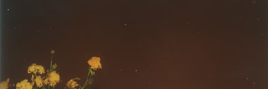 deisemends's profile banner image
