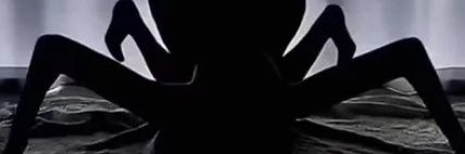Aj banner