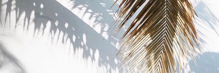 dcerentini's profile banner image