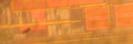 65daysofbmx's profile banner image