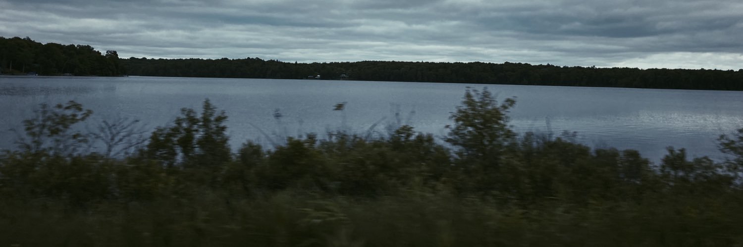 forestb0mb's profile banner image