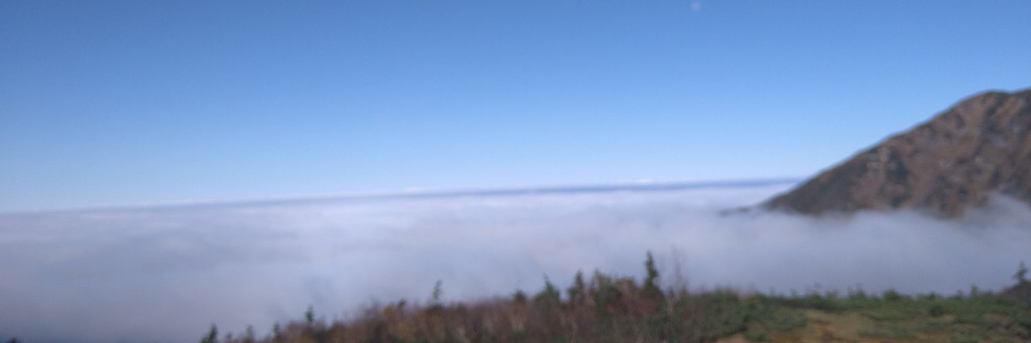 Алёша's banner