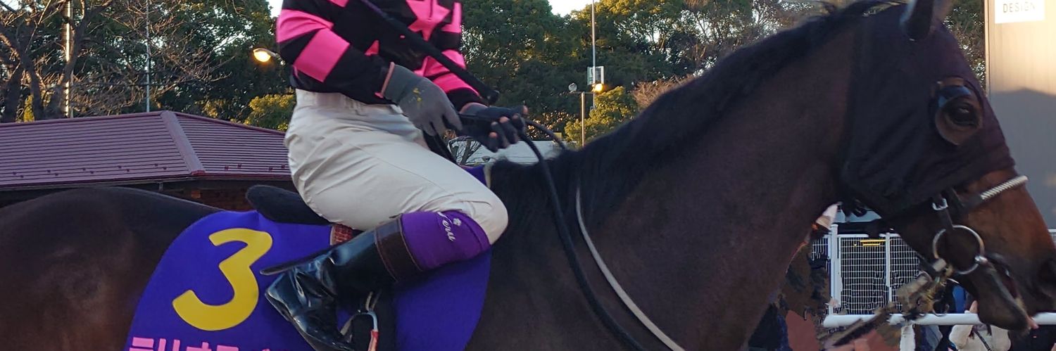 メッゾフォルテ banner