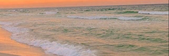 Marinsa99's profile banner image