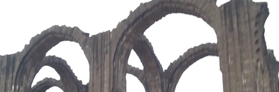 skkodla's profile banner image