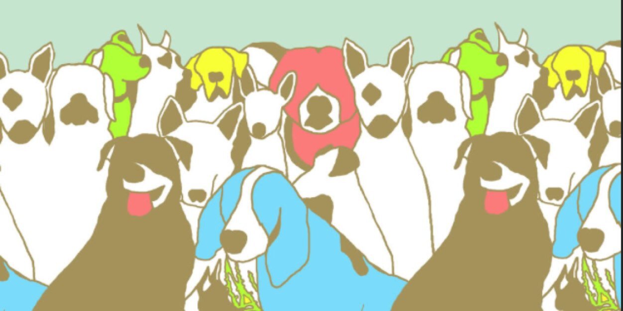 ShaneGiard's profile banner image