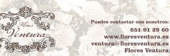 FLORES VENTURA banner