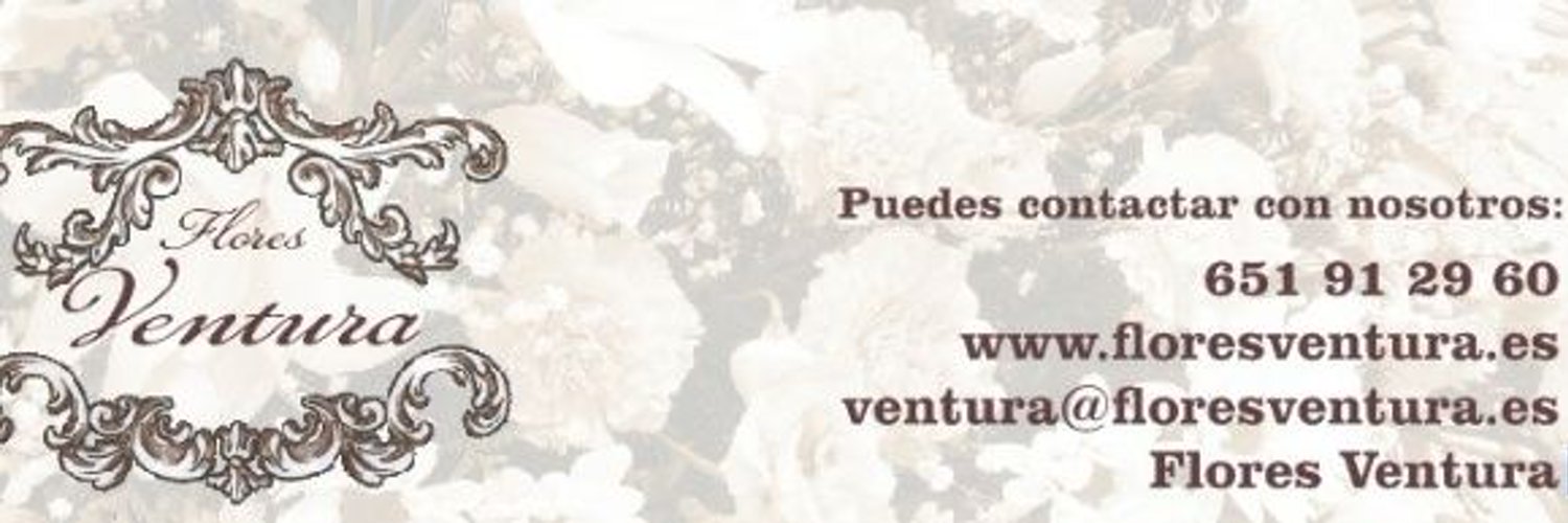 FLORES VENTURA Profile Banner