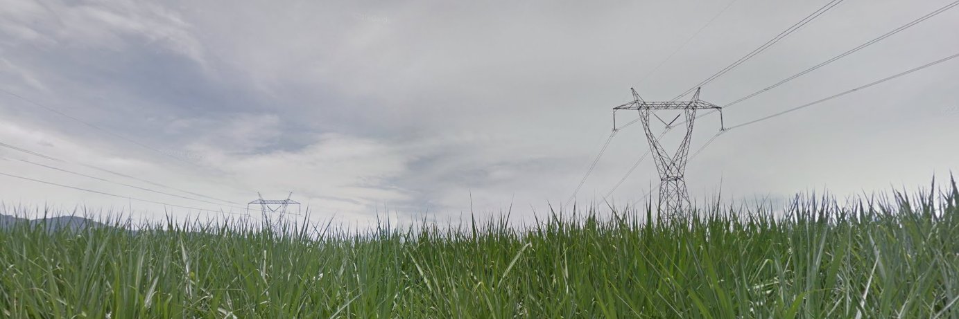 Multitetrapod's profile banner image