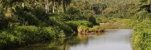 JORGE E NARANJO banner