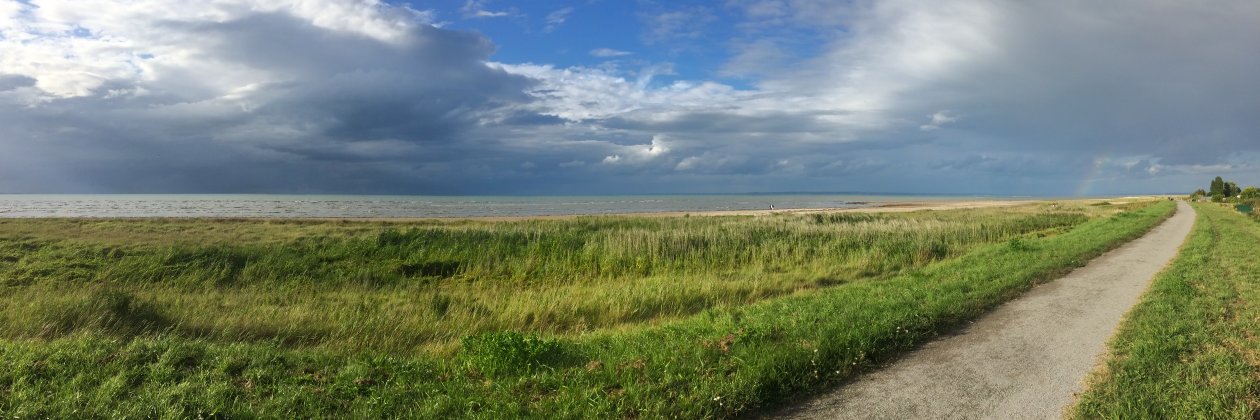 Dominic Mullan banner