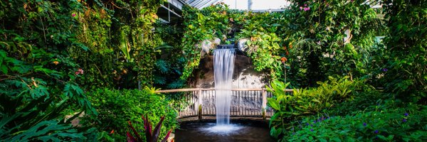 Conservatory_ Profile Banner