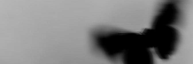 akundosaaaa's profile banner image