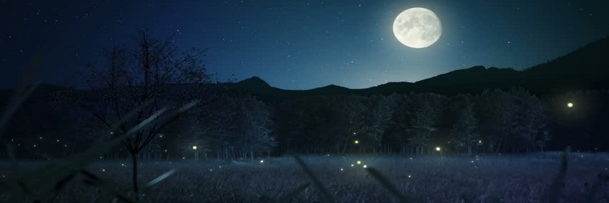 roseshine91's profile banner image