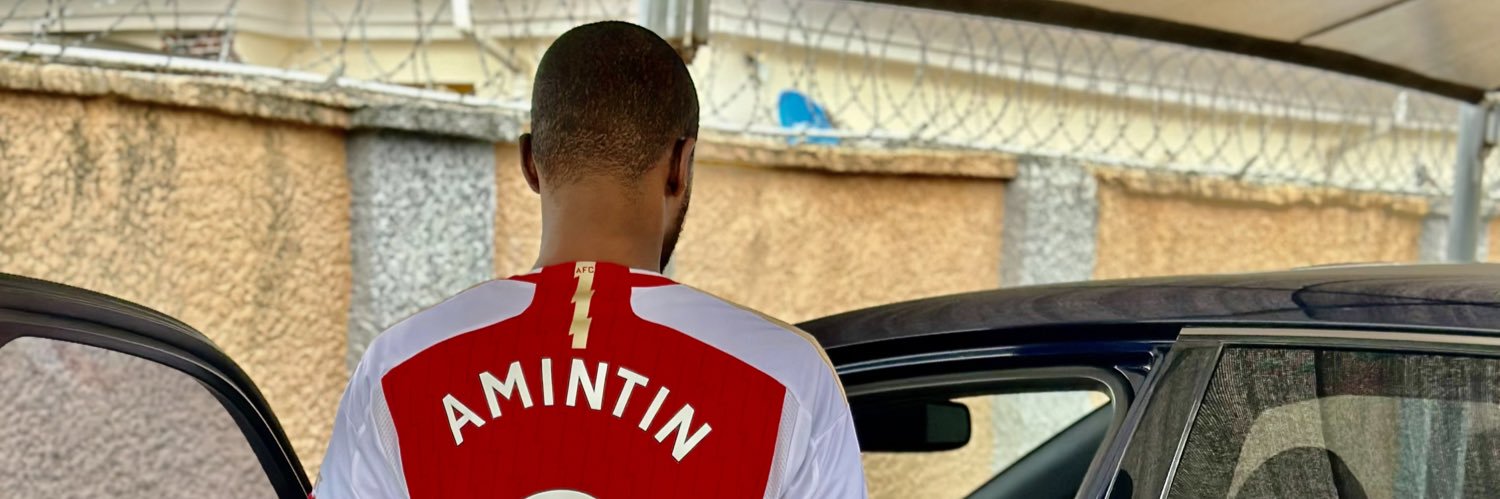 amintin's profile banner image
