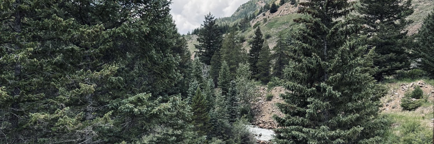 Wes Cunningham banner