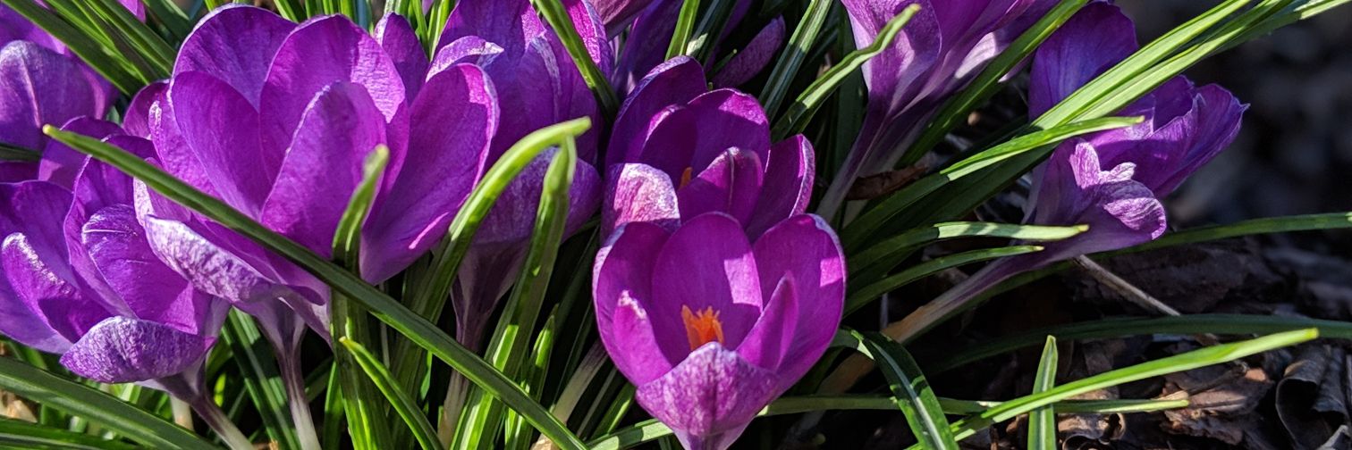 Ms_MBentley's profile banner image