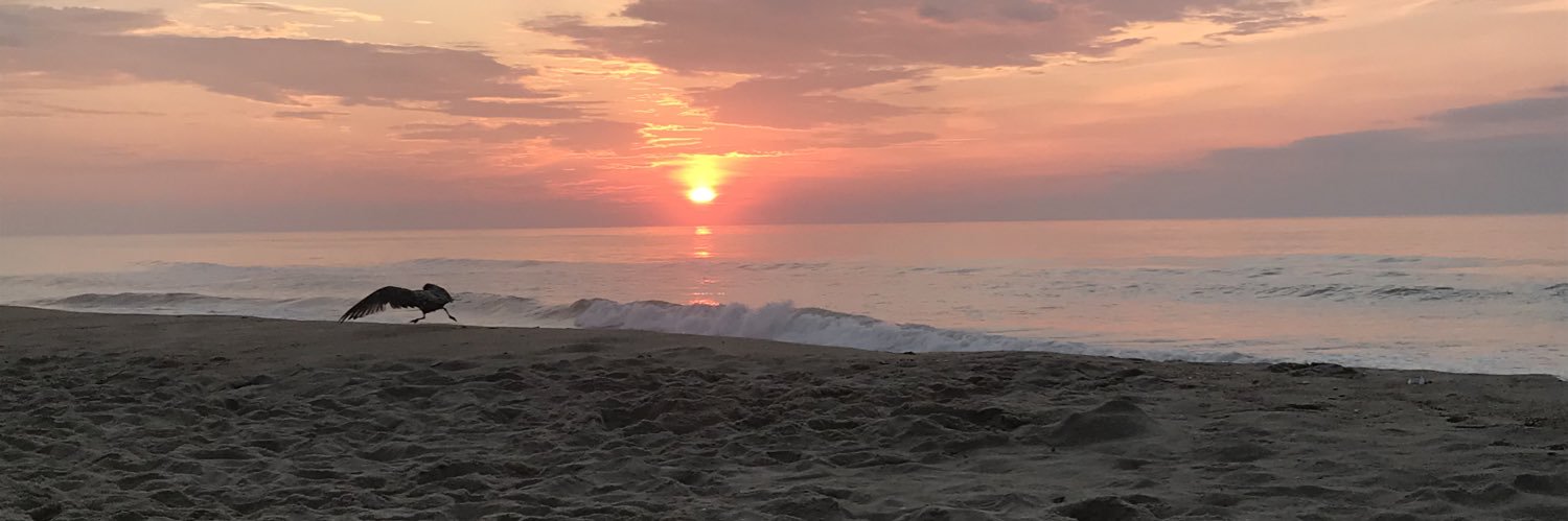 thecaseter's profile banner image