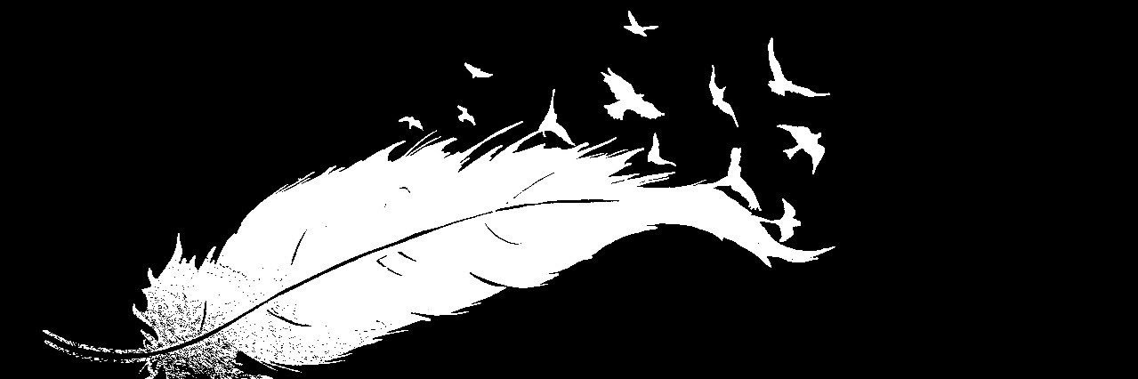 saveside1's profile banner image