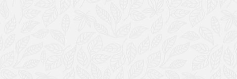 Northeast Kidney Foundation banner