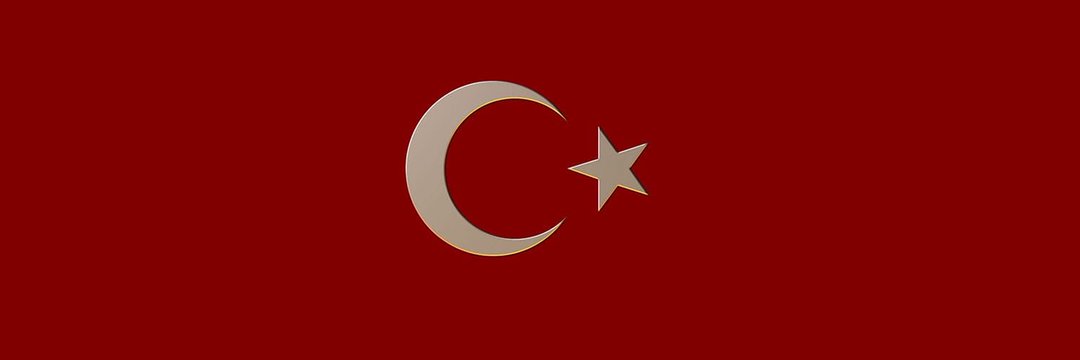 Berke's banner