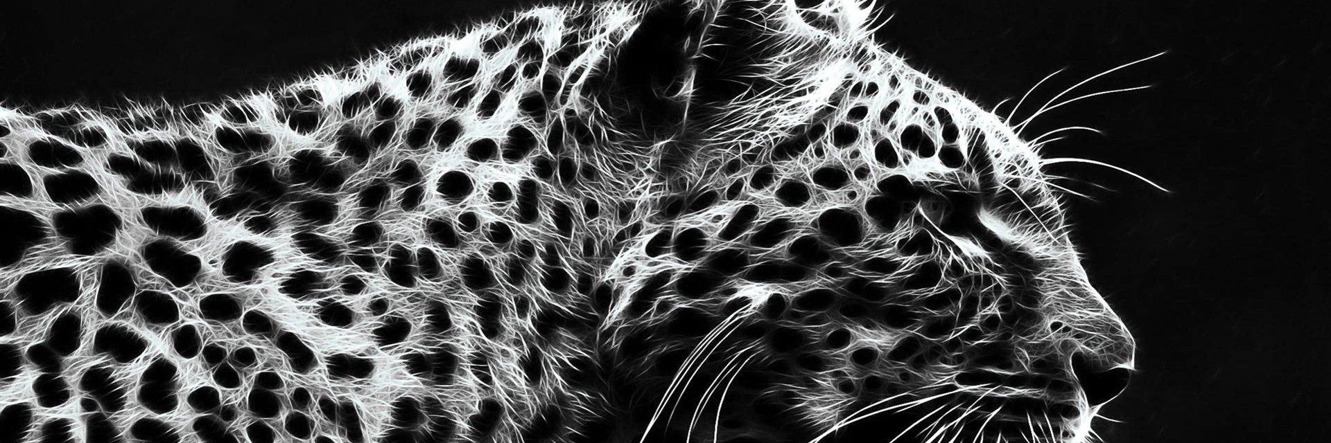 DRFDesigner's profile banner image