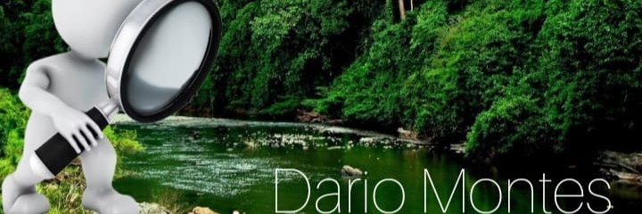 Dario Montes banner