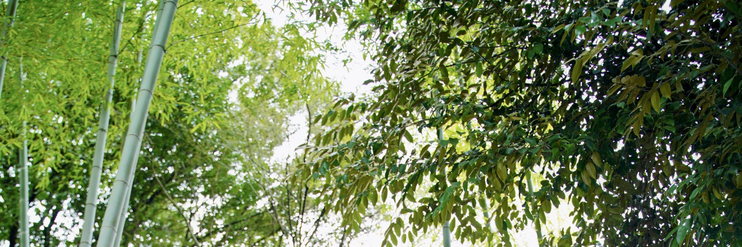 恭©7a! banner