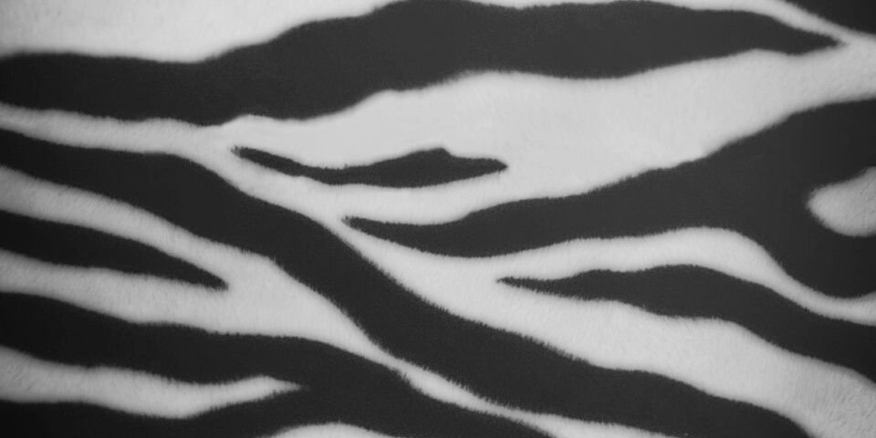 Jacqueelinee2's profile banner image