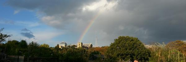 TransitionCE Profile Banner