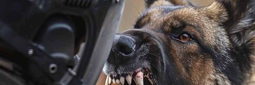LennyGSD banner