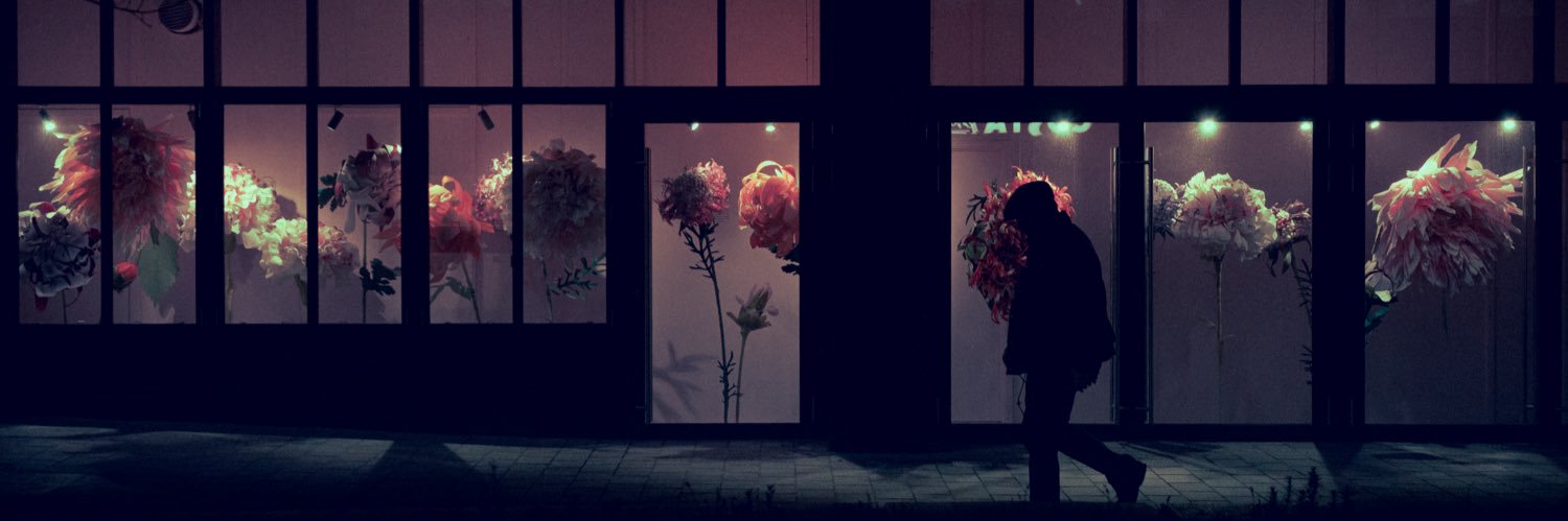 robin 🎞️ banner