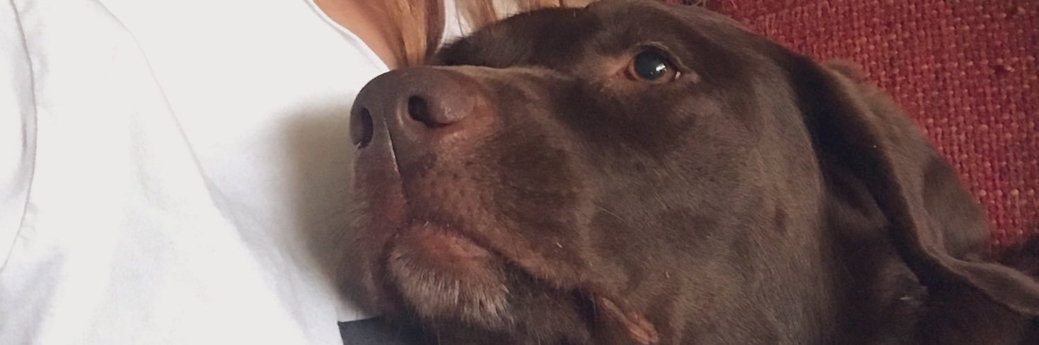 Marjooonnn1's profile banner image