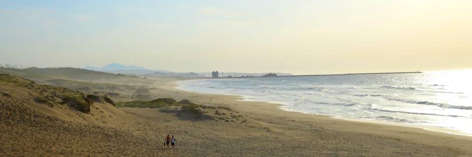 Christopher Cho banner